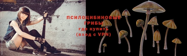 метадон Бородино