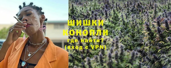 молекула духа Бронницы