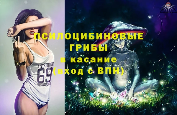 молекула духа Бронницы